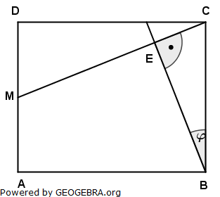 Für das Rechteck ABCD gilt: (Realschulabschluss Pflichtteilaufgaben Trigonometrie Aufgabengraphik P22011/© by www.fit-in-mathe-online.de)
