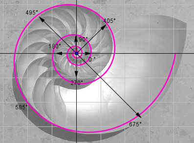 Graph einer logarithmischen Spirale (Bild W0003 im WIKI Logarithmen allgemein) / © by Fit-in-Mathe-Online.de