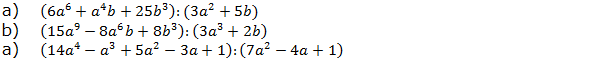 Vereinfache mit Hilfe der Polynomdivision. (Aufgabensatz 1 Blatt 3/2 Expert zu Potenzterme vereinfachen/© by www.fit-in-mathe-online.de)